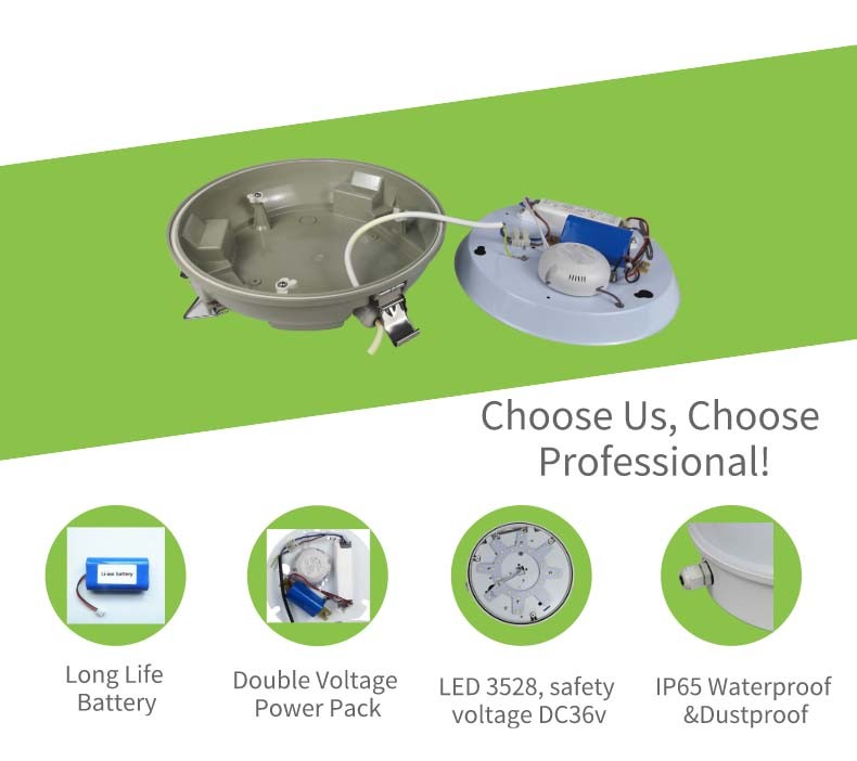 Waterproof LED IP65 Ceiling Mounted Emergency Lights