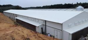 China Customized Q235B Q355B Steel Structure Poultry Sheds Galvanized Steel Farm House factory