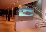 Shopping Malls Hologram Transparent Film For Projection Screens On Glass