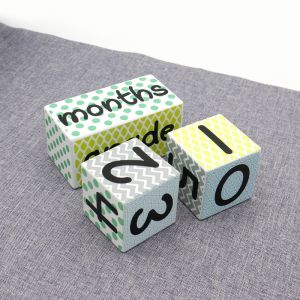 Custom Baby Wooden Milestone Blocks DIY Big Wooden Block