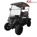 LED Golf Cart Buggy With Four Wheel Disc Brake Carplay And USB Integration