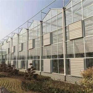 China Tomato Cucumber Lettuce Greenhouse System Venlo Agriculture With Cooling Fan Pad factory