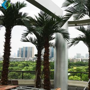 China Green Plastic Palm Trees , Large Fake Outdoor Palm Trees For Amusement Park Decoration factory
