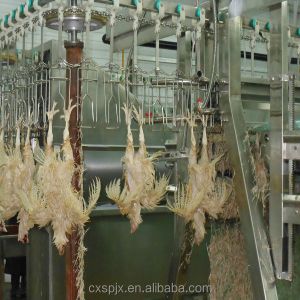 2000BPH Poultry Butchering Equipment SS 304 Automatic Chicken Slaughter Line