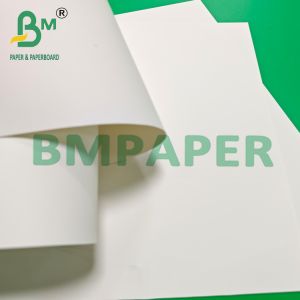 Glossy White Waterproof PP Synthetic Paper Roll For Poster