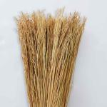 Commercial Dustless 30.5x14x5cm Corn Whisk Broom For Desks Computer Keyboard
