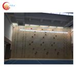 Indoor Speed Climbing Wall Auto Belay Waterproof For Gymnasium