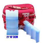 Customizable Freezer Ice Blocks Food Grade MSDS BH009 For Beer Cans