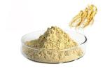 Pharmaceutical 80% Panax Root Natural Ginseng Extract Powder