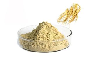 China Pharmaceutical 80% Panax Root Natural Ginseng Extract Powder factory