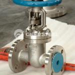 ANSI F304 Stainless Steel Gate Valve