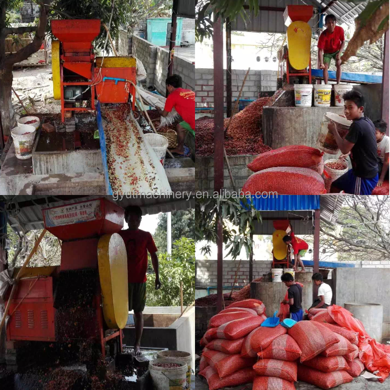 Coffee/Cocoa Beans Peeling Machine for Industrial Production at 910*730*1265mm Size