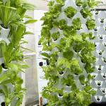 Vegetable Vertical Tower Garden 65L 8 Layer 64 Holes Indoor Hydroponics Growing