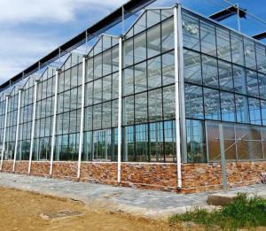 China 4mm patterned Glass for Greenhouse with Competitive Price factory