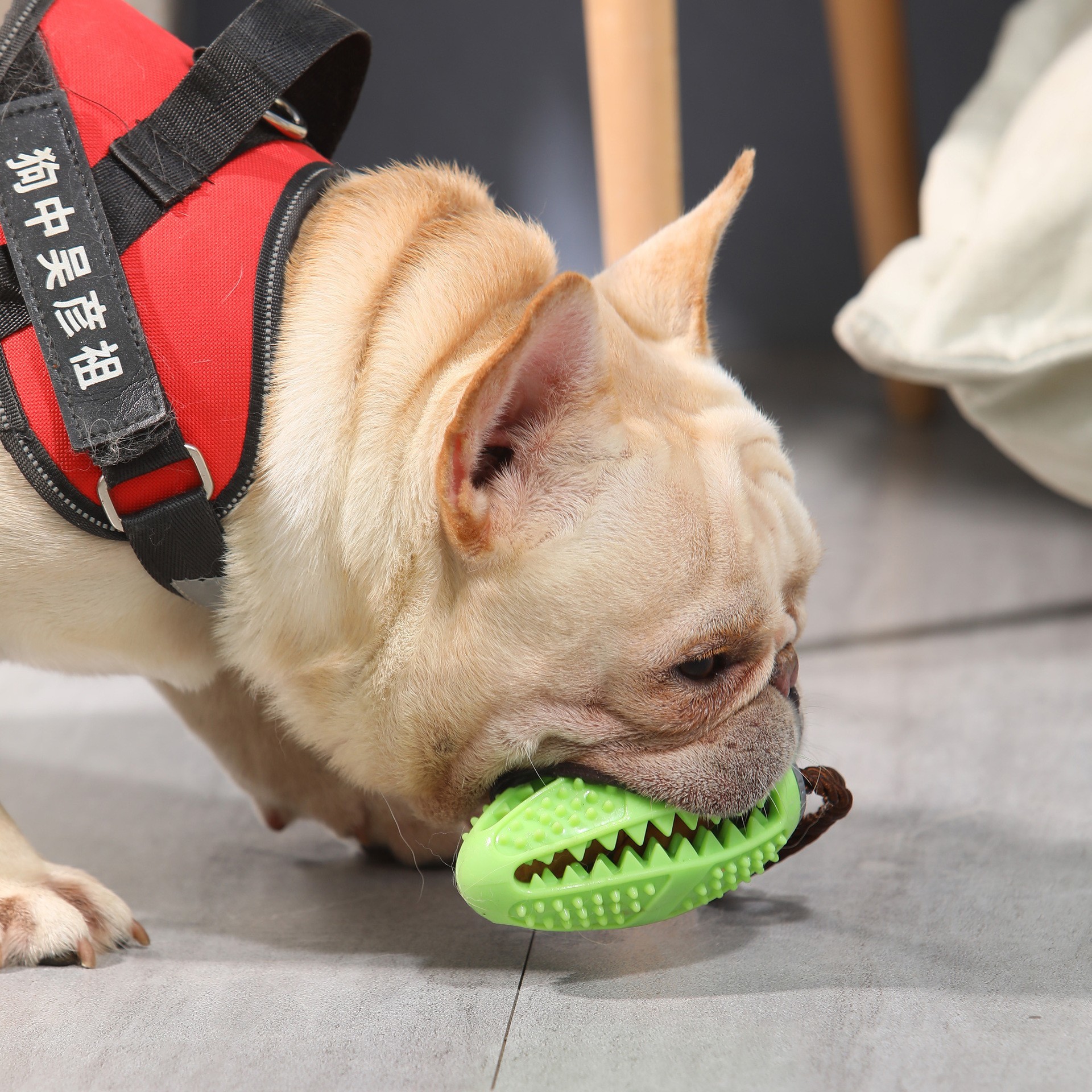  pet treat ball