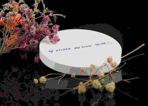 China 50% Transmission 750MPa Porcelain Dental Zirconia Blank factory