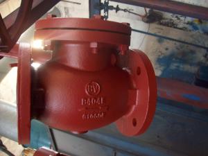 China ANSI Swing Check valve flanged ends factory