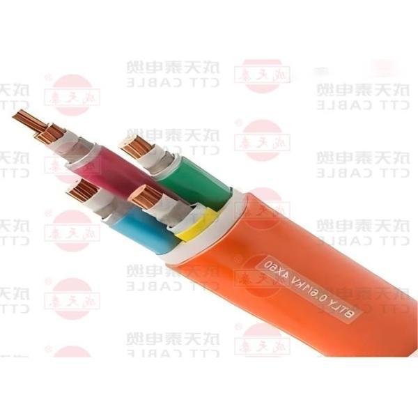 Flame Retardant Test PVC/PE Outer Sheath and Mica-tape Fire Barrier for Customer