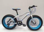 Fork Suspension Lightweight 26 Inch Fat Tire Bike