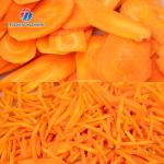 Korean Cabbage Versatility Papaya Cutting Machine , Papaya Shredder Machine