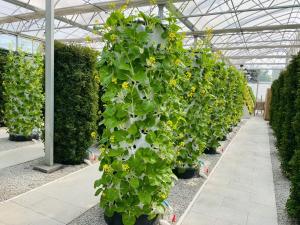 China 30L 10 12 6 8 Layers Hydroponics Tower Hydroponic Growing Systems For Home factory
