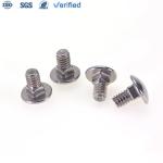 Square Neck Carriage Bolts with Customized Stainless Steel Head Mirror Polished