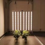 ANDY Led Plant Grow Lights 1000W Customized Full Spectrum Samsung Lm301H EVO
