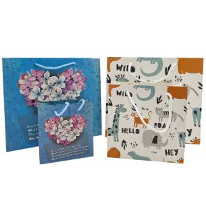 China Customization Packaging Paper Kraft Bag High Quality Biodegradable Shopping Bag Cloth Pouch on sale