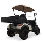 Utility Trucks With 2 Passenger And 48V 5KW AC Motor Journey Golf Cart Standing