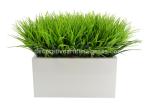 Fake Artificial Floor Plant In White Pot 8*15cm 10*18cm 10*15cm