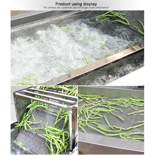 Fruit and vegetable washing and vibrating drying production line Fruit Vegetable FOOD processing production Machine Versatile and Durable Fruit