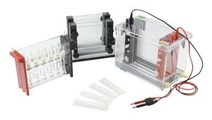 China Mini Id Tube Gel Electrophoresis System～2500ml Buffer Volume Jy-sx3 2d factory
