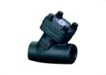 Threaded and undertake welding Y check valve，check valve， forged steel