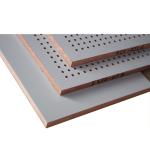 Sound Deadening Perforated Wood Acoustic Panels for Meeting Room