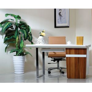 Metal Frame Bookroom Furniture / Bedroom Desk With Three Drawers