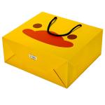 75gsm Patterned Gift Bags White Cardboard Glossy Varnish Packaging With Ribbon
