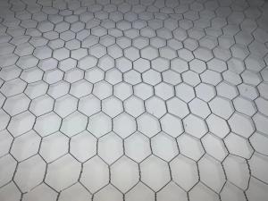 China 30mm Plaster Welded Galvanised Steel Chicken Wire 0.7mm Diameter factory