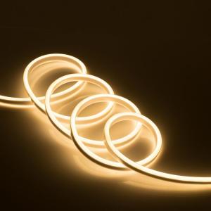 China 10 Mm X 20mm Soft Neon Rope Light Flex Tube AC220V-240V With EU Plug factory