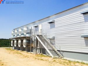 China Modern Modern Prefabricated Steel Structure Poultry House Customized factory
