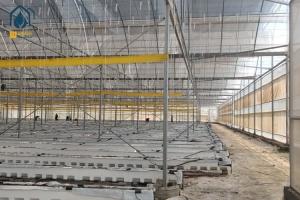 China Agricultural Clear Plastic Greenhouse UV Resistant PE Film Greenhouse For Farms factory
