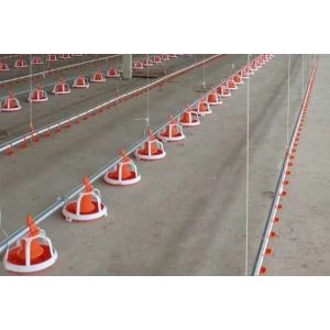 ABS Stainless Quail Nipple Drinker Chicken Nipple Drinker System