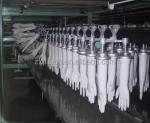 production line gloves medical gloves factory Gloves Machinery Manufacture Line