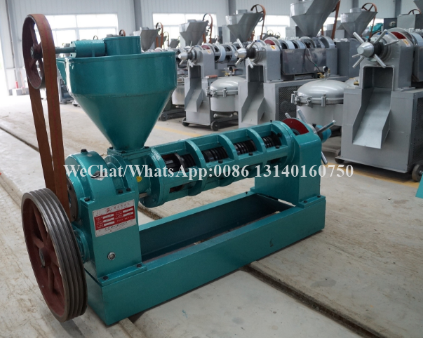 80-125kg/H Nuts Processing Machine Shea Automatic Oil Extraction Machine