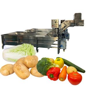 China Stainless Steel Fish Washing Machine Practical Stable For Fruit And Vegetable factory
