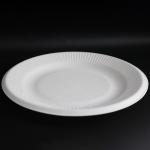 Biodegradable Food friendly fully Bagasse 6 inch Round Lace Plates