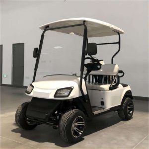 China Customizable 2-Seater Latest Model Electric Golf Cart on sale