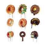 electromagnetic coil inductor dc 10uh dr2w toroidal inductor common mode chokes
