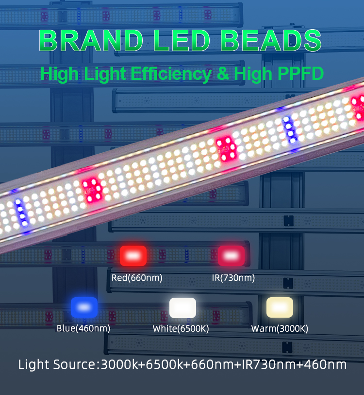 Custom Full Spectrum Far Red LED Grow Light 500W Commercial Indoor Hydroponic Grow Lights