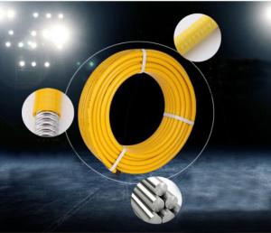 China Home Use Natural Gas Flexible Hose DN13 DN15 With Fire Proof Plastic Cover factory
