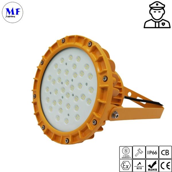 China 60W 100W 200W Atex LED Explosion Proof Light factory